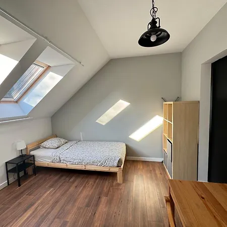 Apartament Uroczy Z Dostępnym Parkingiem I Ogrodem Szczytniki (Poznan)